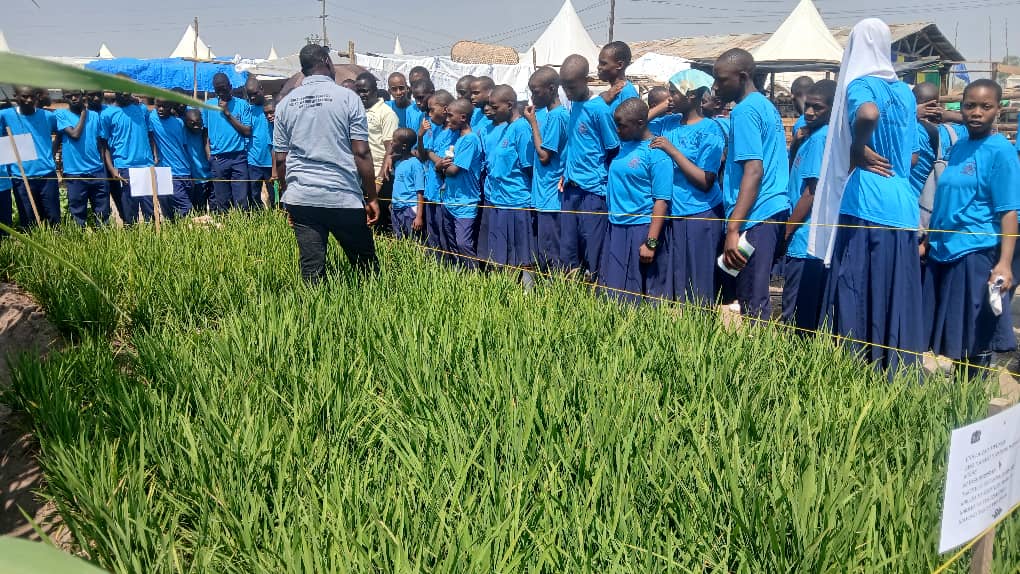 Kilimanjaro Spring Schools Gallery Image 4